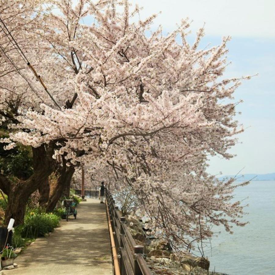 Kyukamura Ohmi-Hachiman 近江八幡市 エクステリア 写真